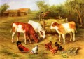 Calves And Chickens Feeding In A Farmyard farm animals Edgar Hunt